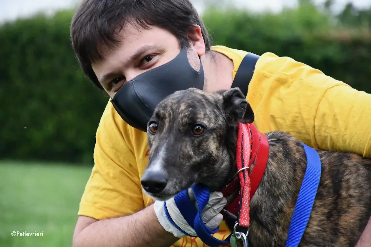 greyhound adoption day 30 maggio 82