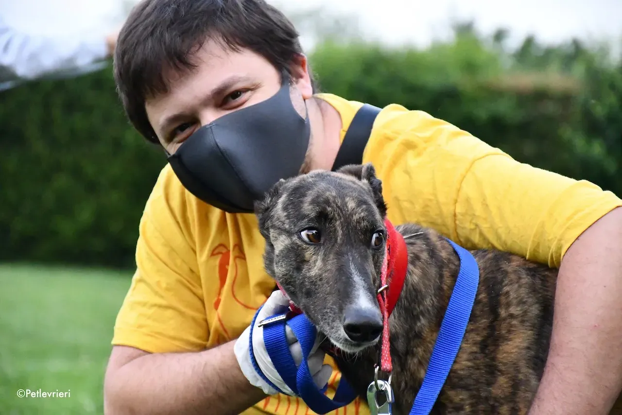 greyhound adoption day 30 maggio 83