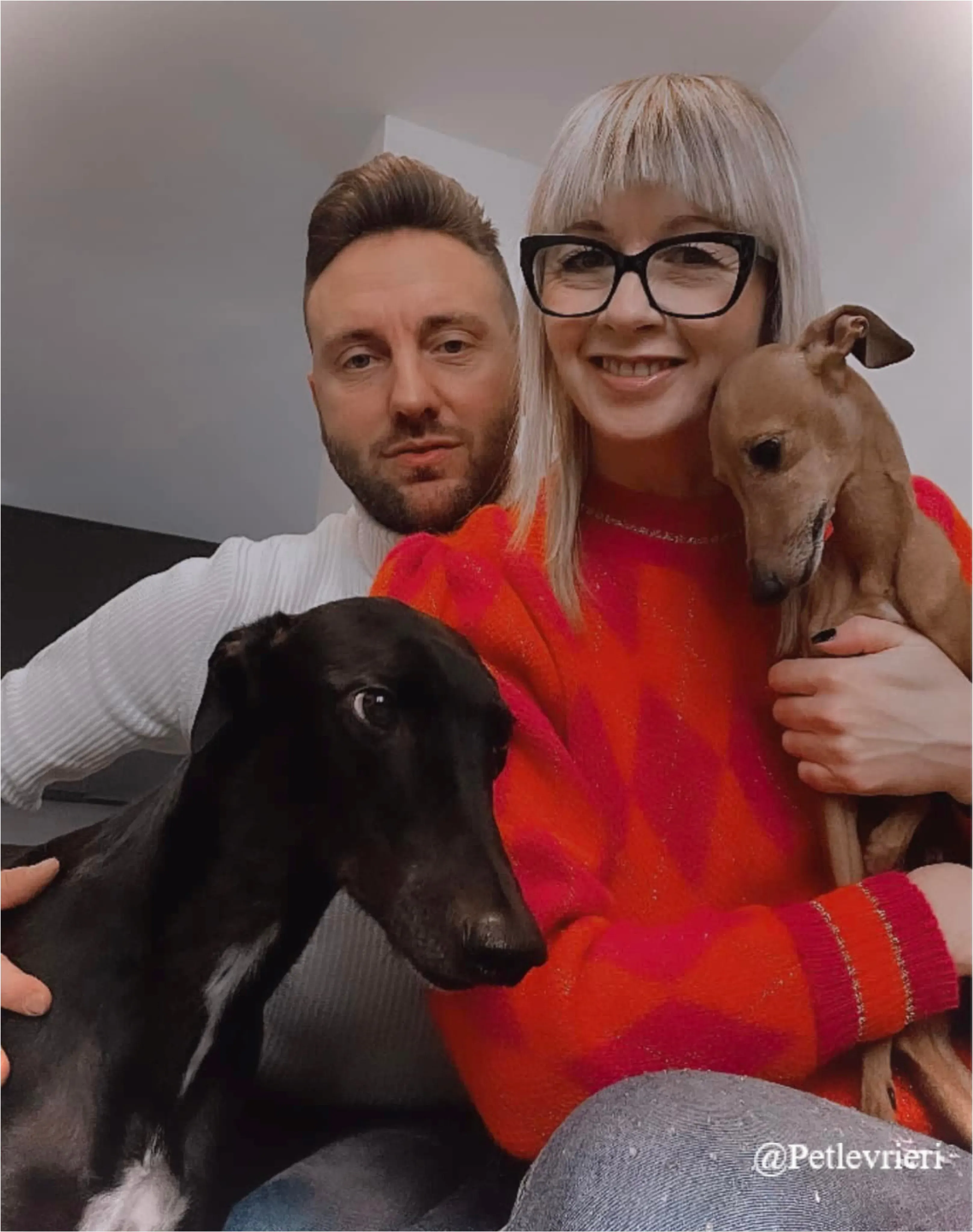 harry boris pet levrieri natale 2021