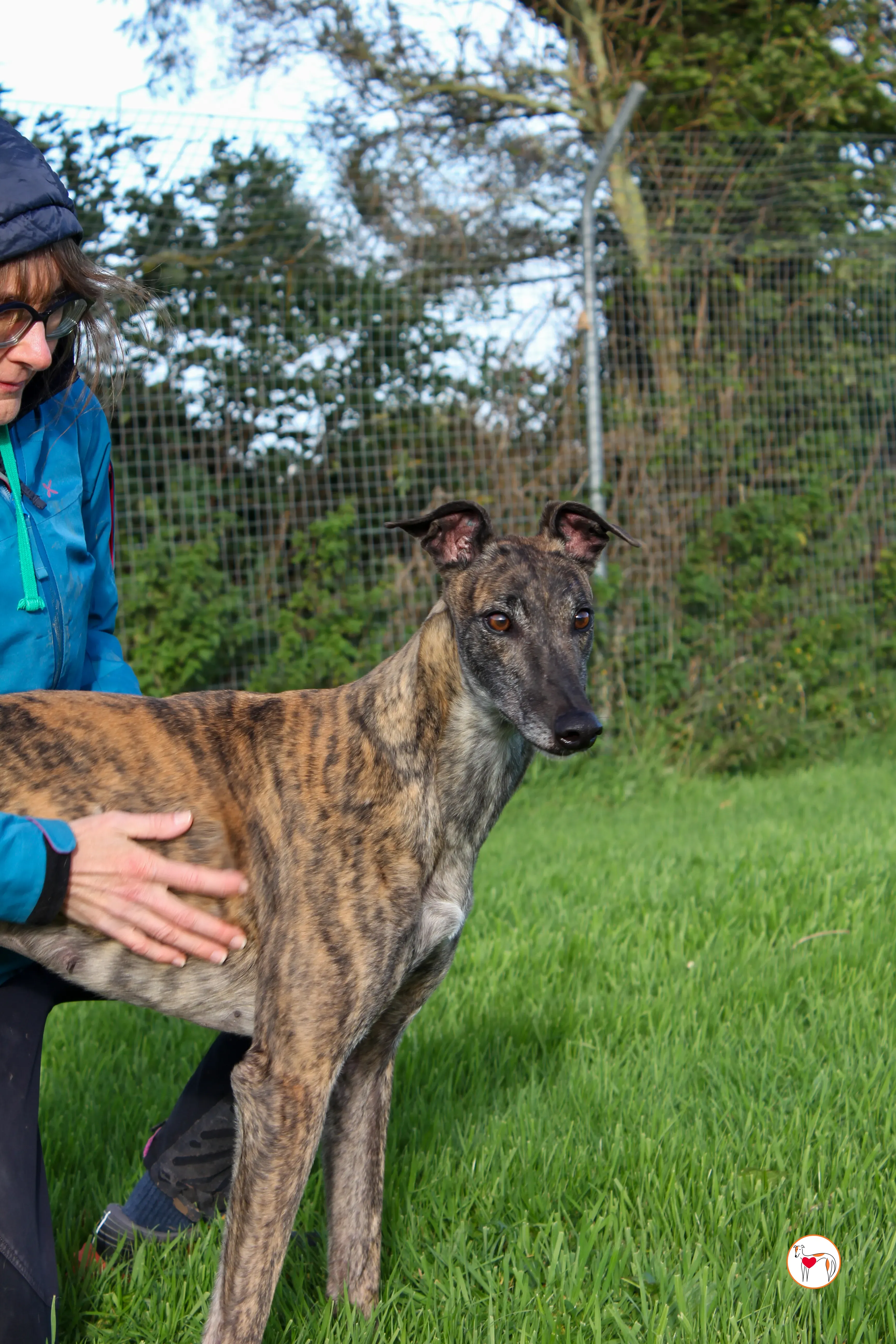 hayley grey adozione 11 1