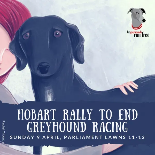 hobart rally fb post square