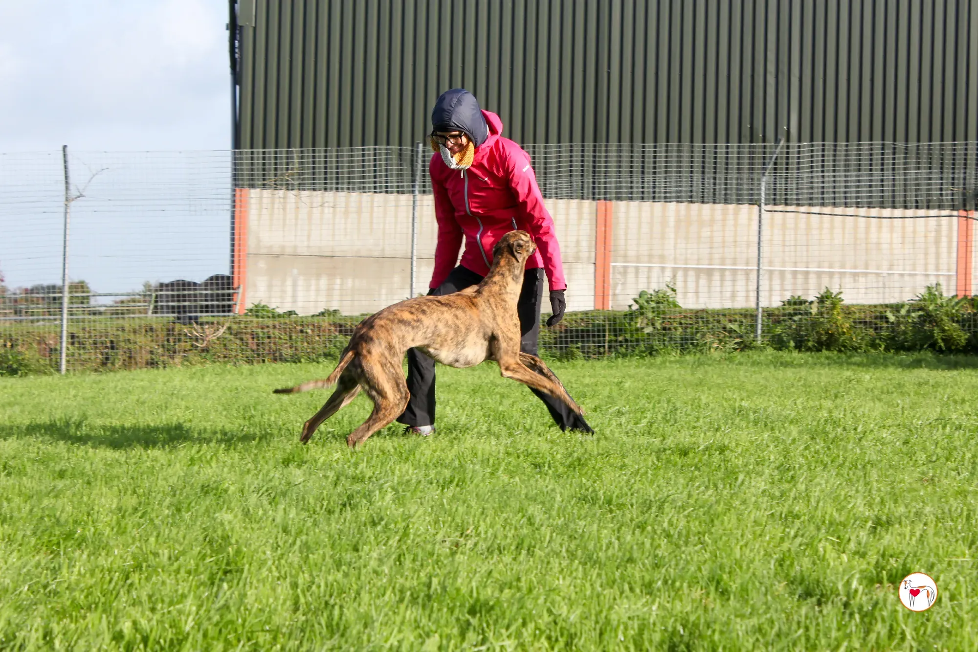 holly grey adozione 10