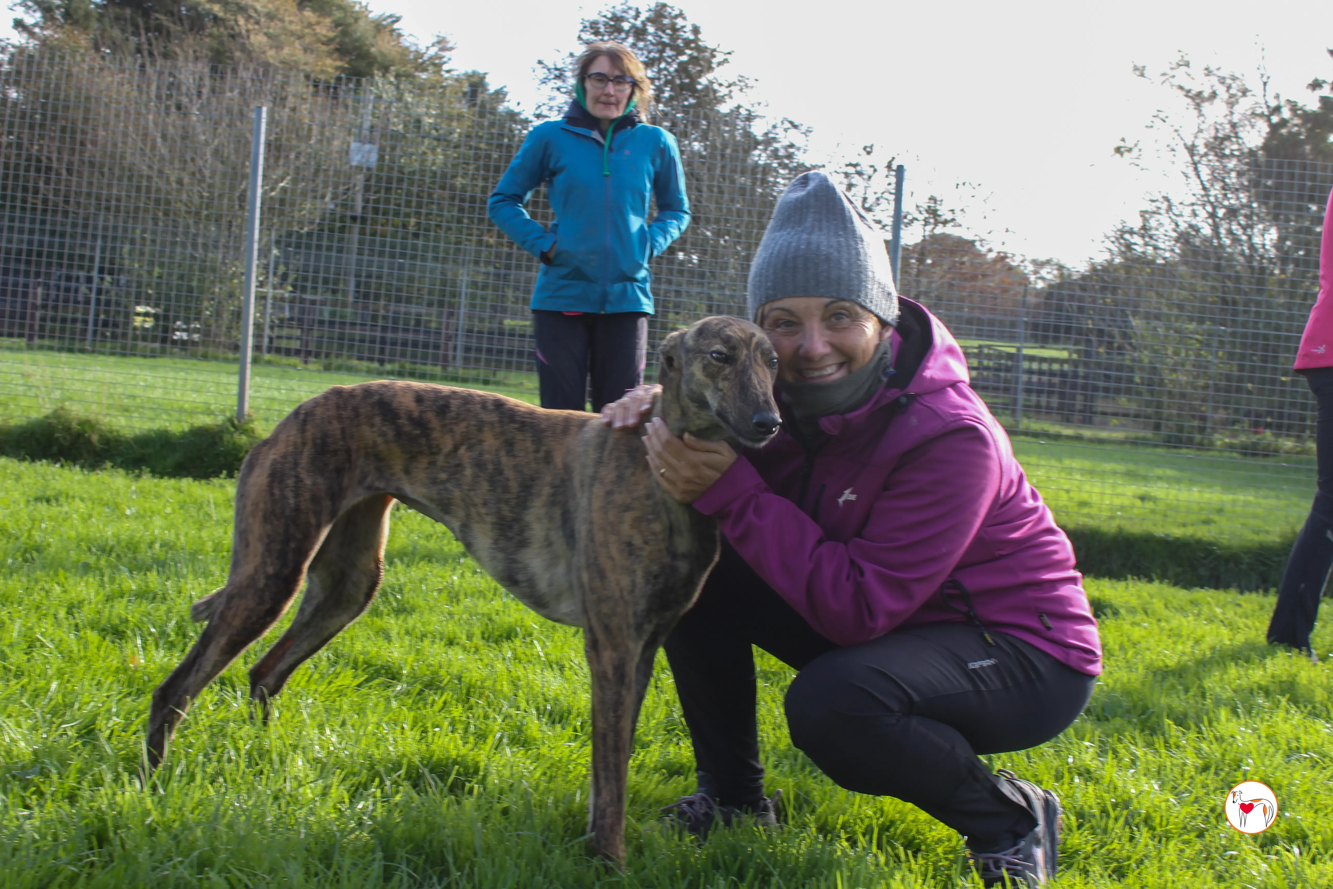 holly grey adozione 18