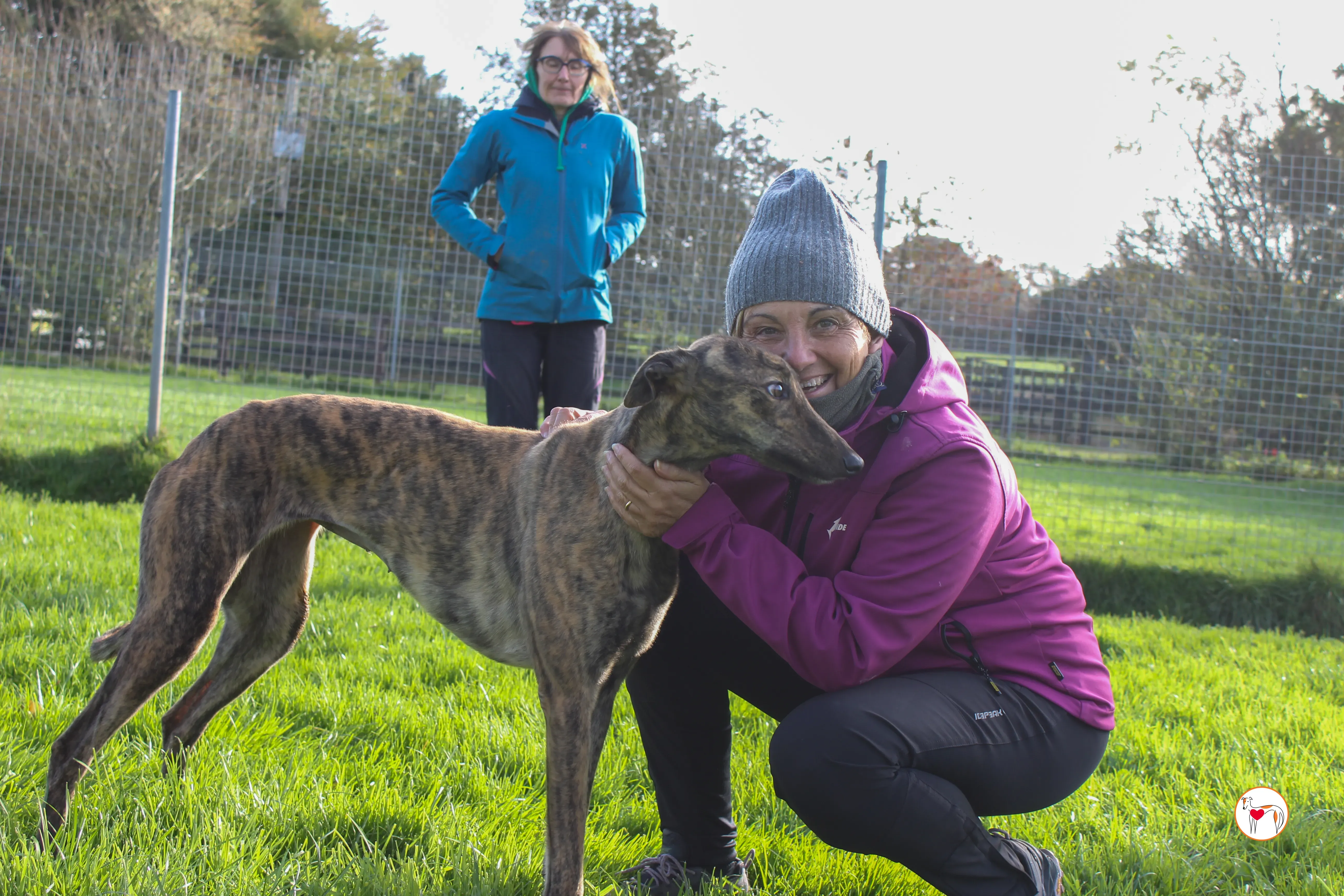 holly grey adozione 19