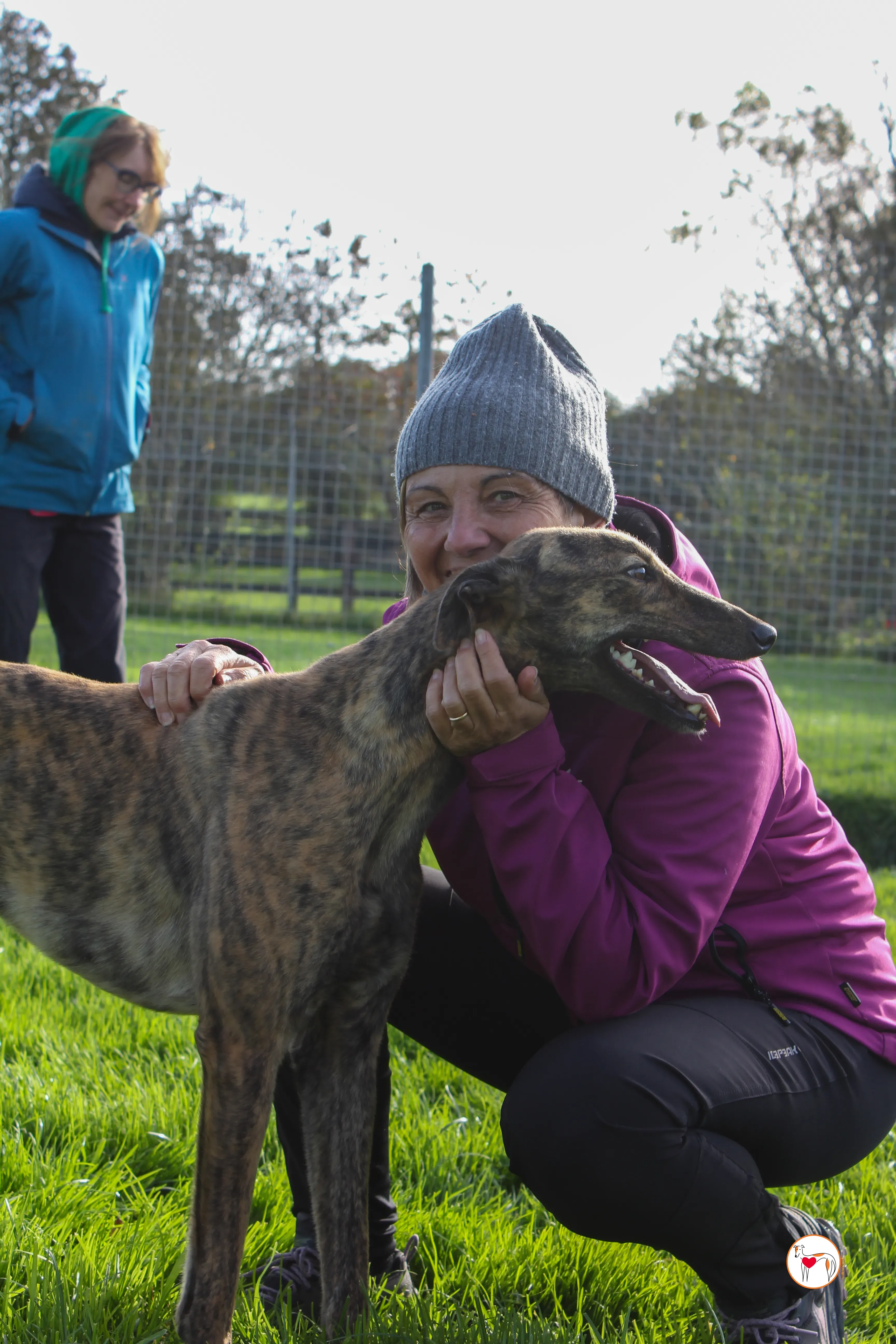 holly grey adozione 20