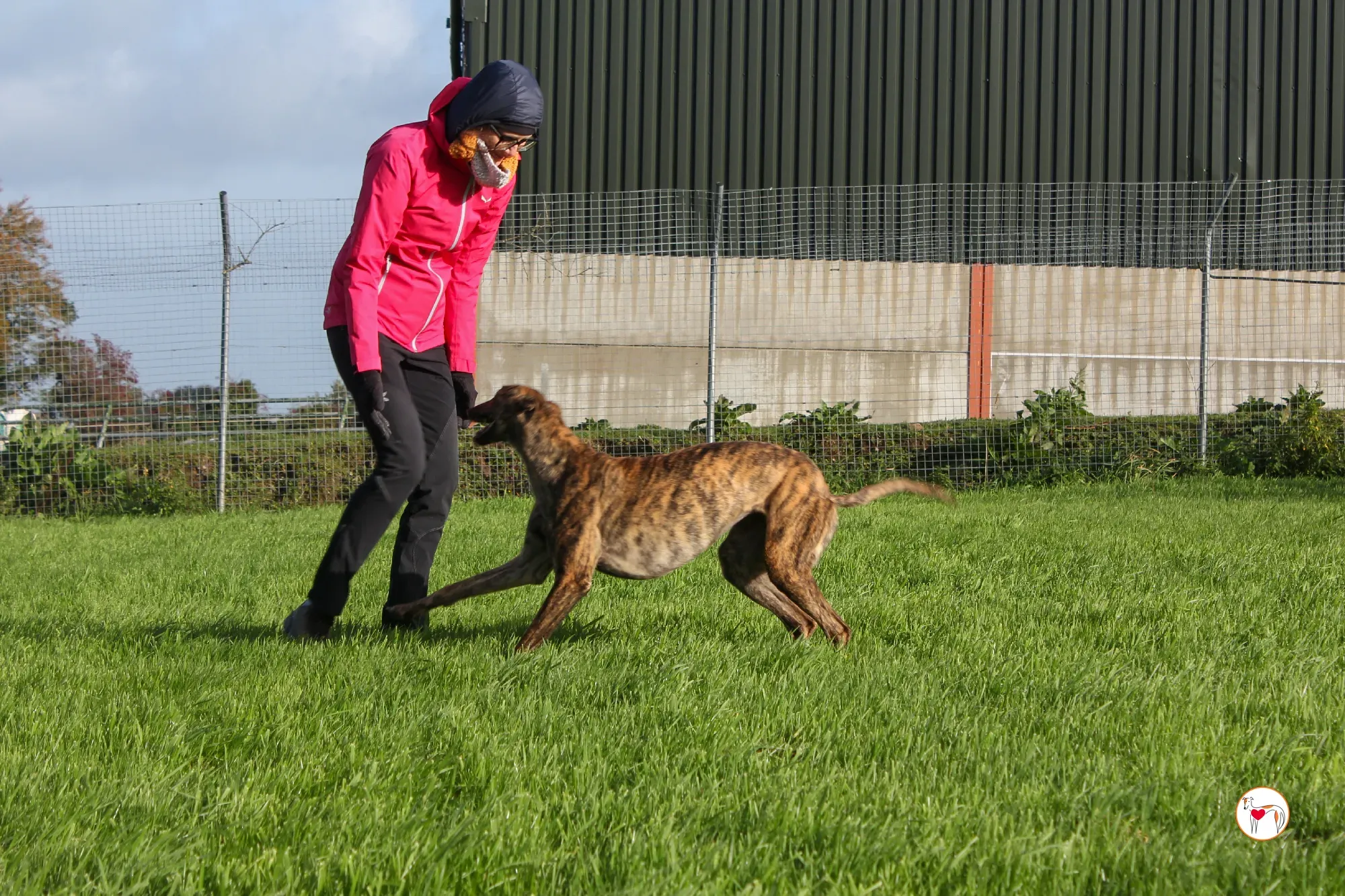 holly grey adozione 9