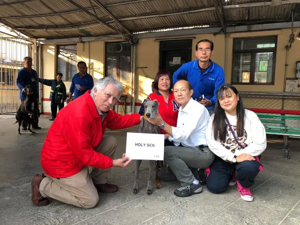 holy sen adozione greyhound macao
