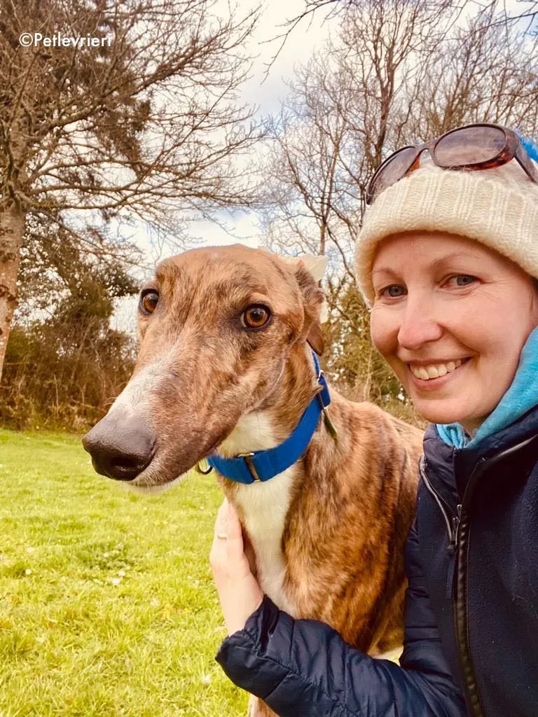 hopper adozione levrieri greyhound 28