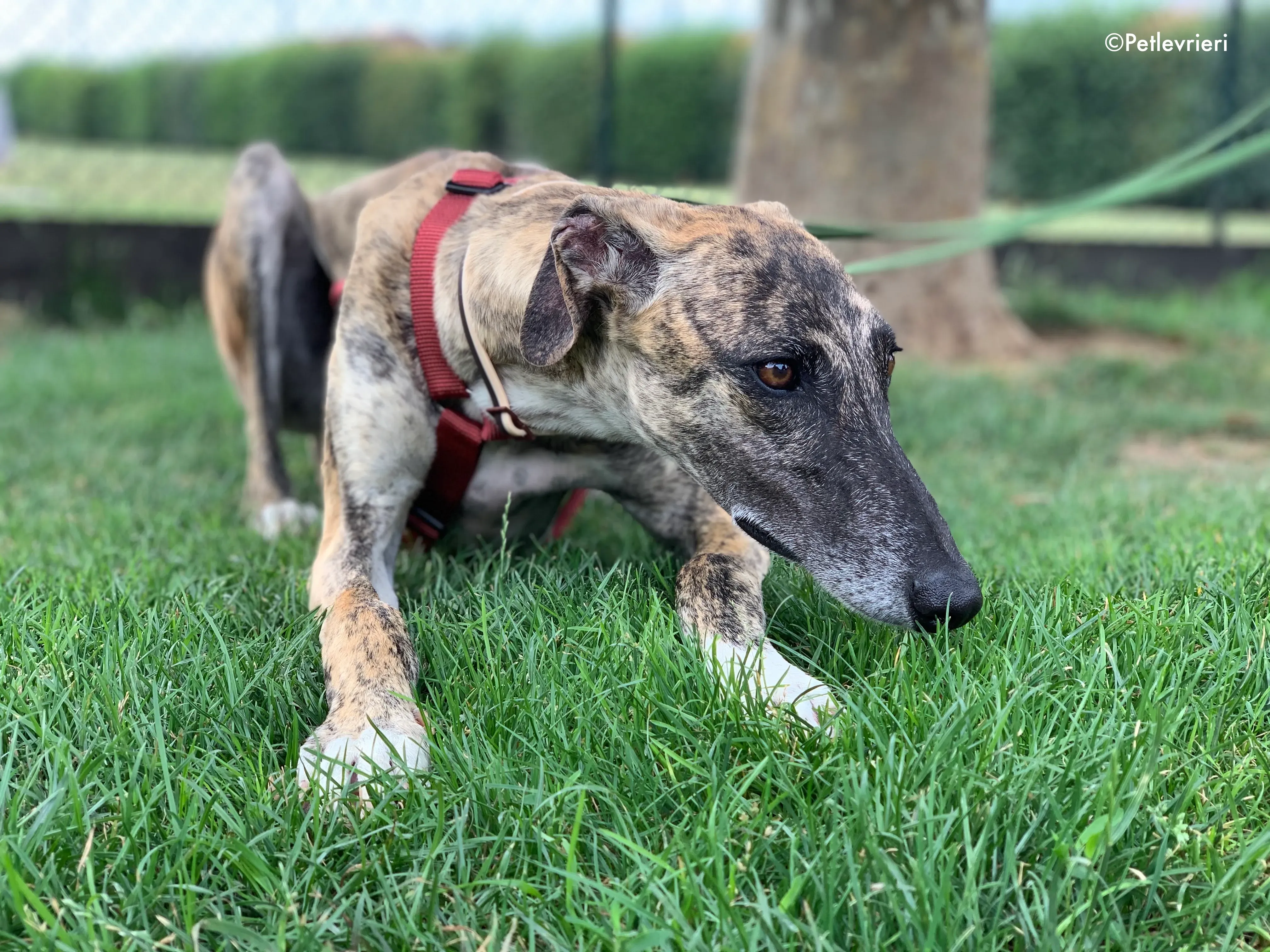 image 03 07 21 21 59 1