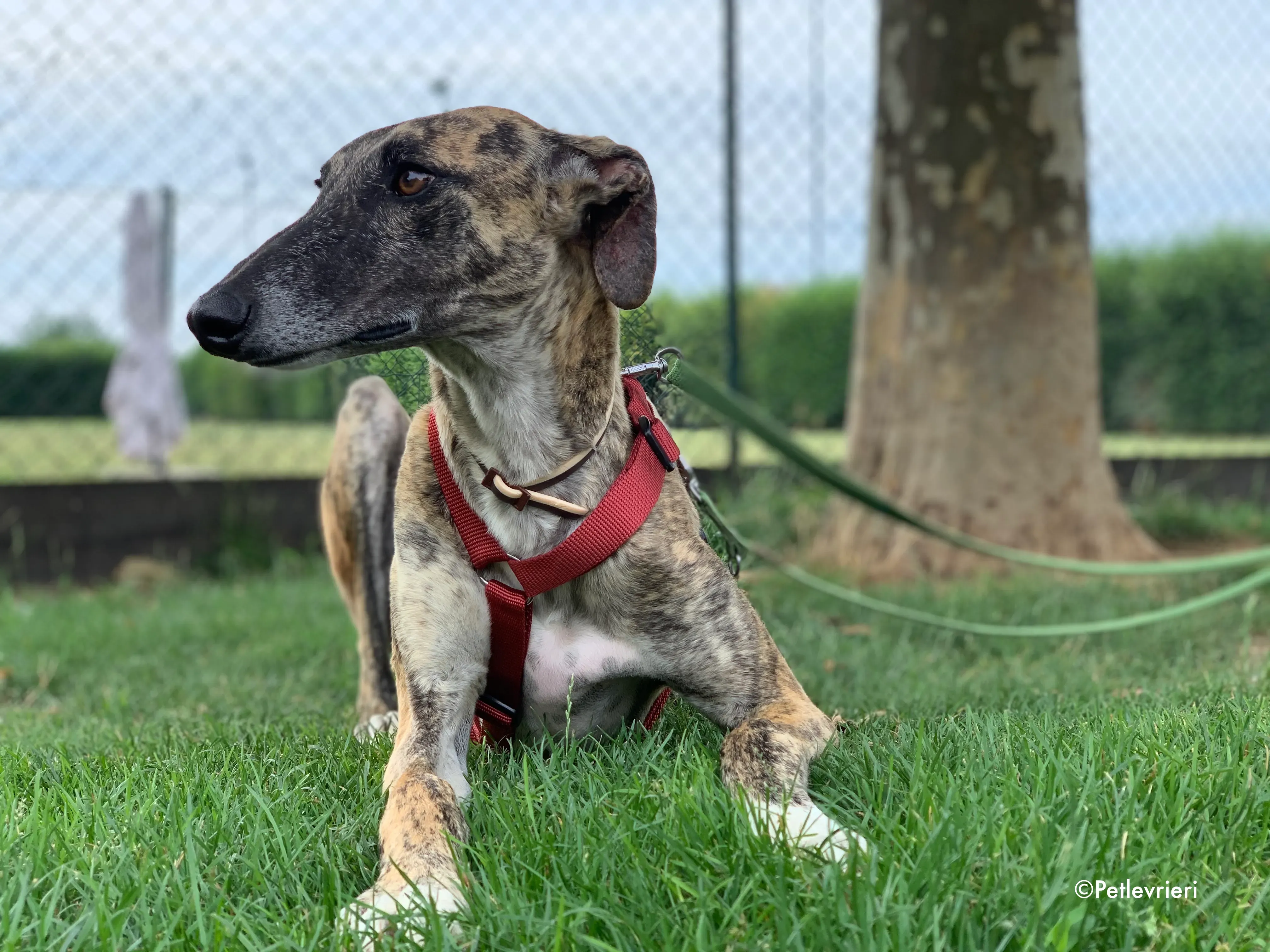 image 03 07 21 21 59 2