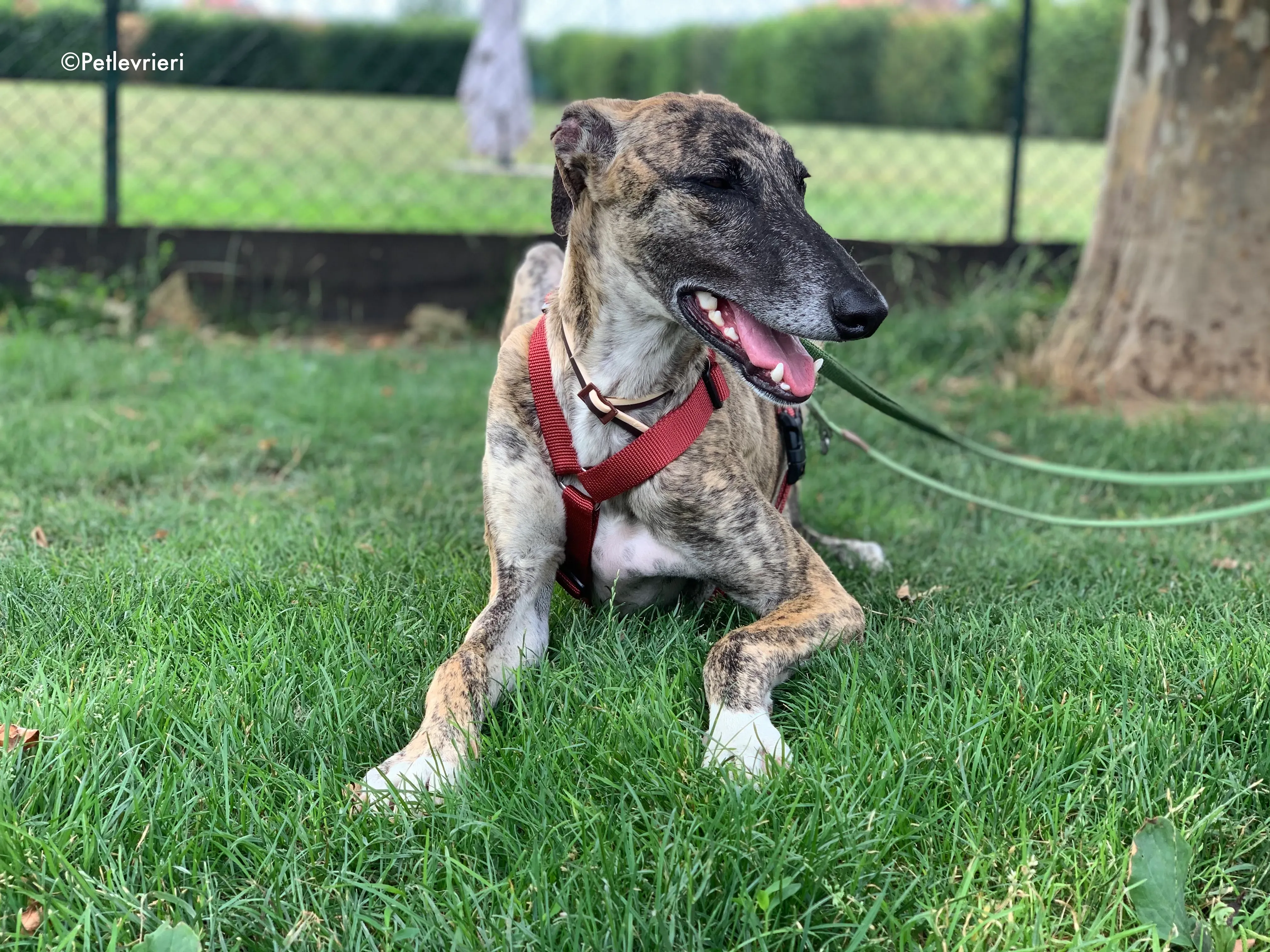 image 03 07 21 21 59