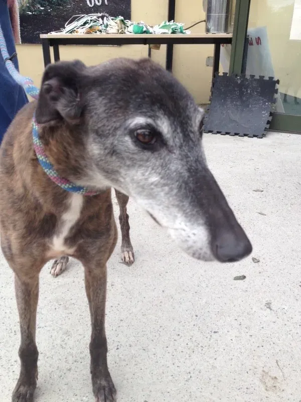 image 1 e1411622148117