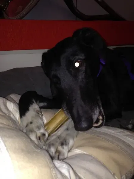 image 12 e1394388343571