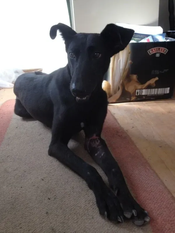 image 12 e1411825967942