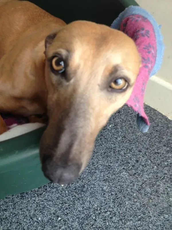 image 3 e1400824077518