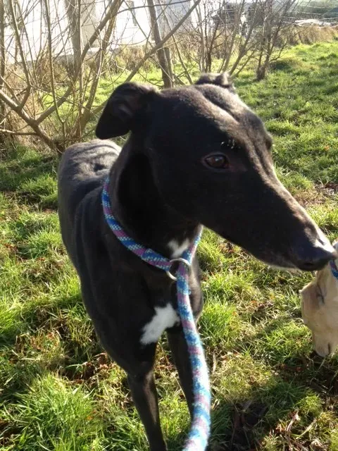 image 3 e1423662237888