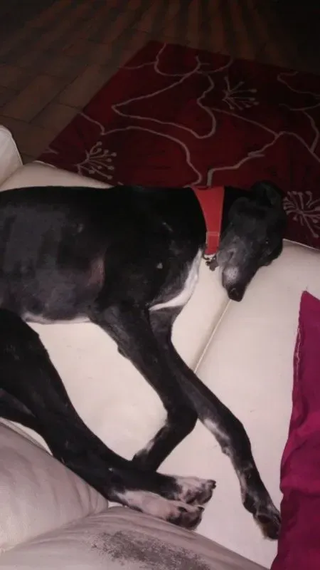 image 3 e1464618523913