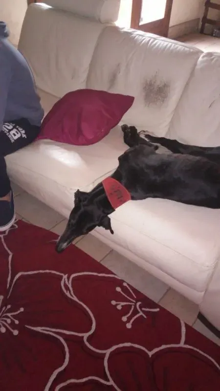 image 4 e1464618506305