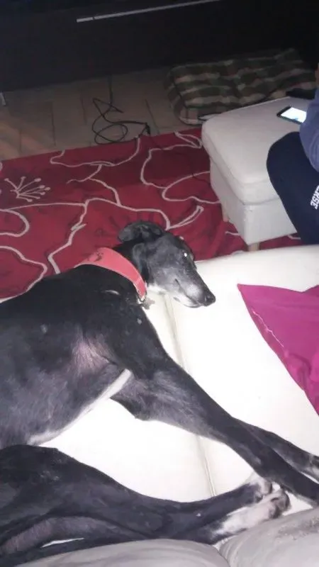 image 5 e1464618484570