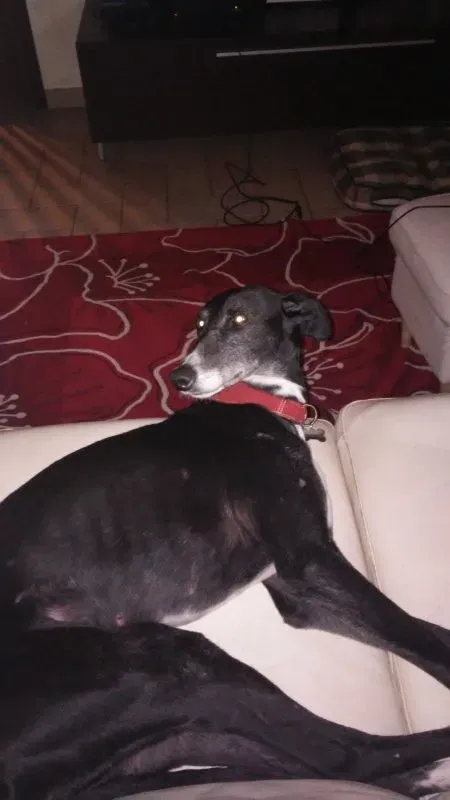 image 6 e1464618465460