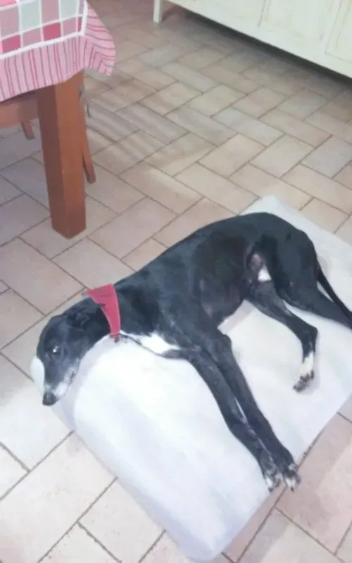 image 7 e1464618445505