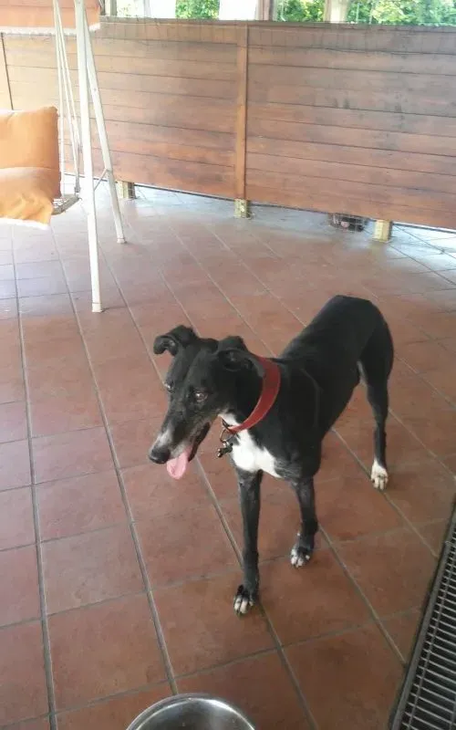 image 8 e1464618425192