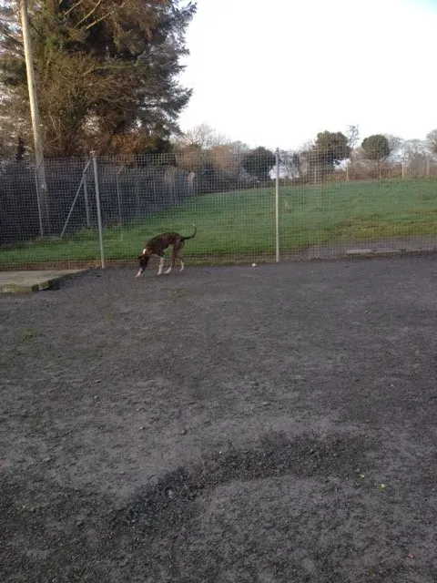 image1 1 e1454089735845