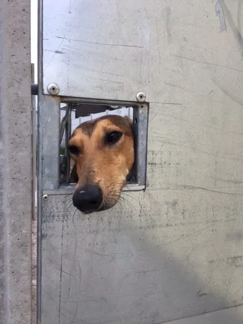 image1 1 e1496147994383