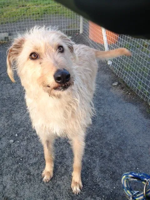 image1 5 e1454144630810