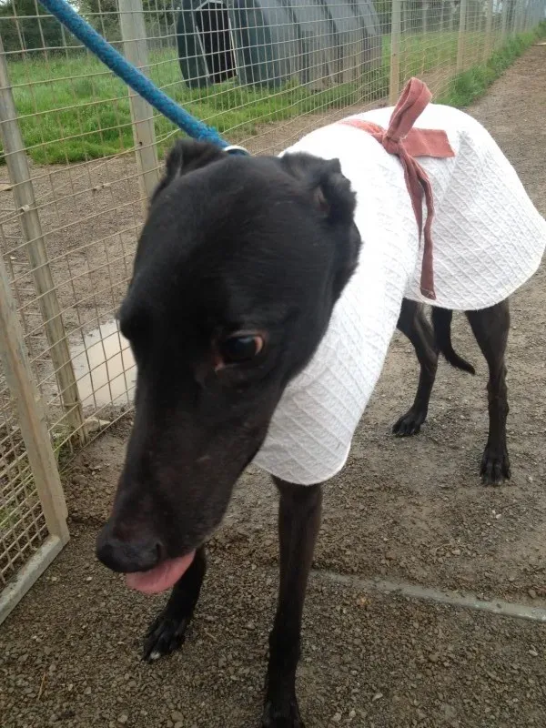 image1 e1400846061714