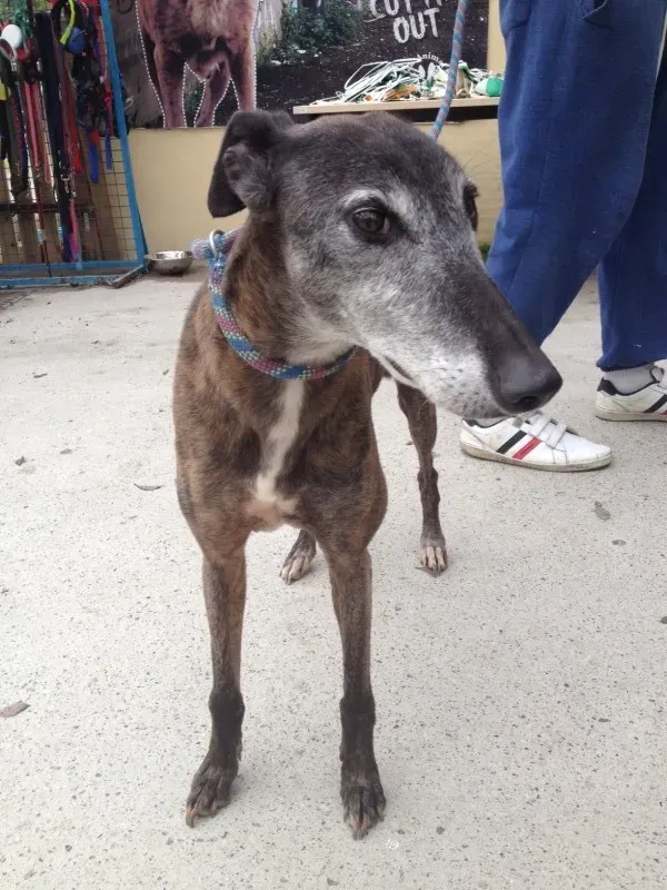 image1 e1411622134816