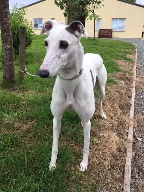 image1 e1496073998539