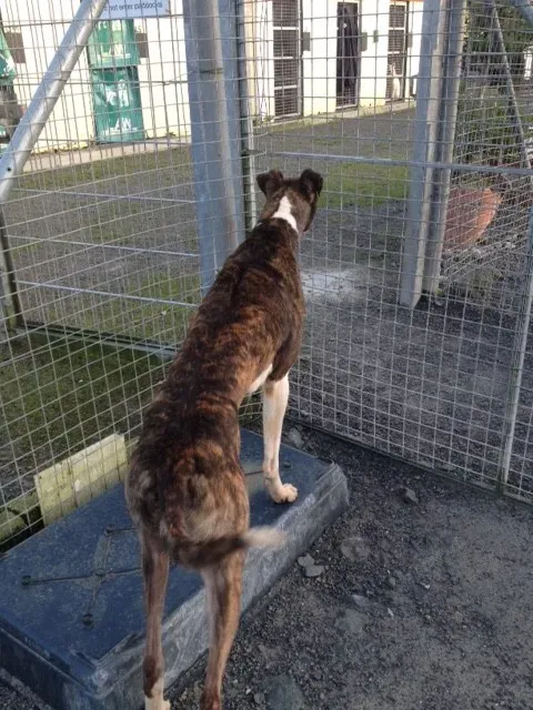 image2 1 e1454089858507