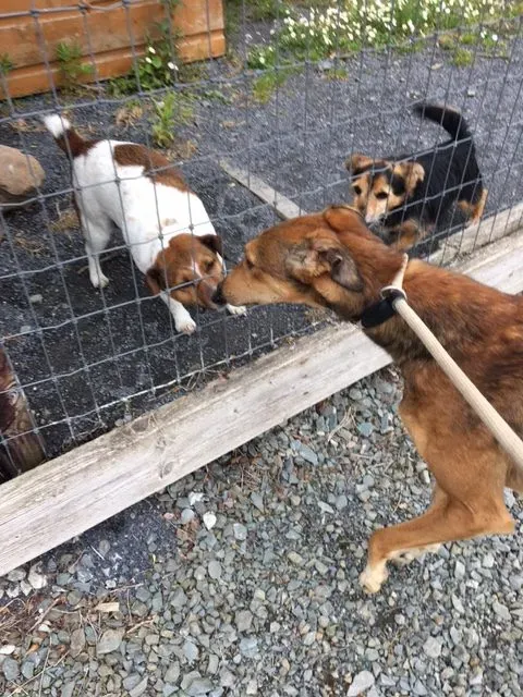 image2 1 e1496147943250