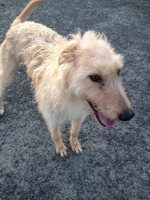 image2 2 1 e1454144644957