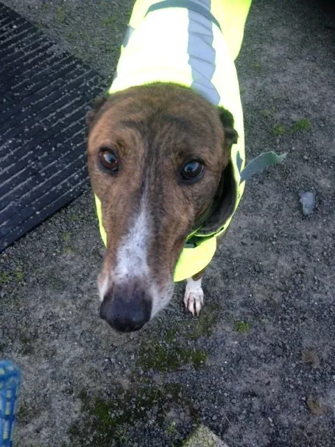 image2 2 e1454090396775