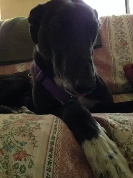 image2 e1394388309778