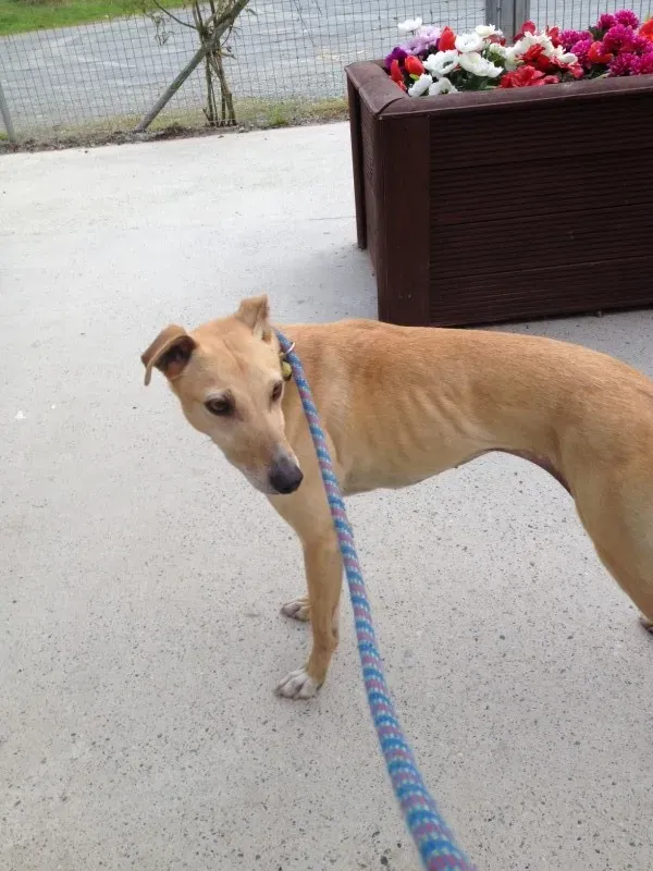 image2 e1411644729748