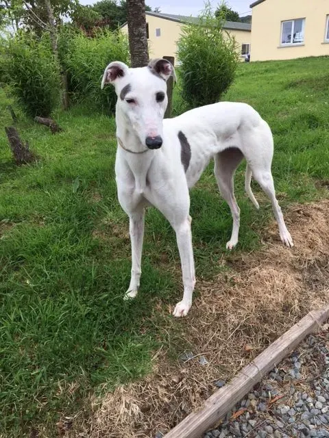 image2 e1496073977651