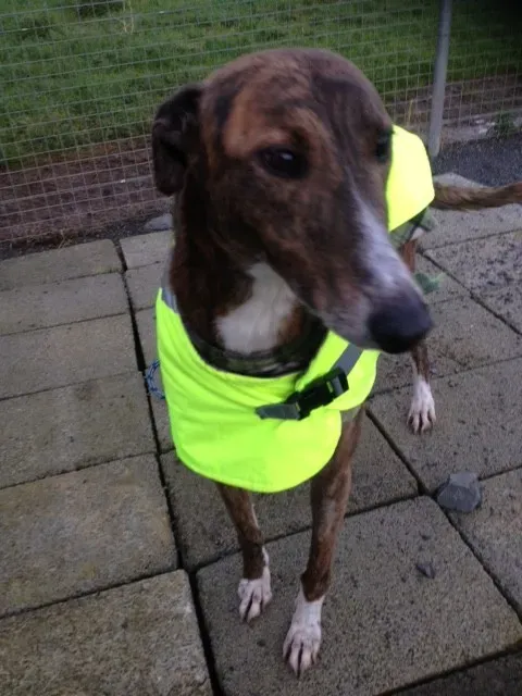 image3 1 e1454090470796