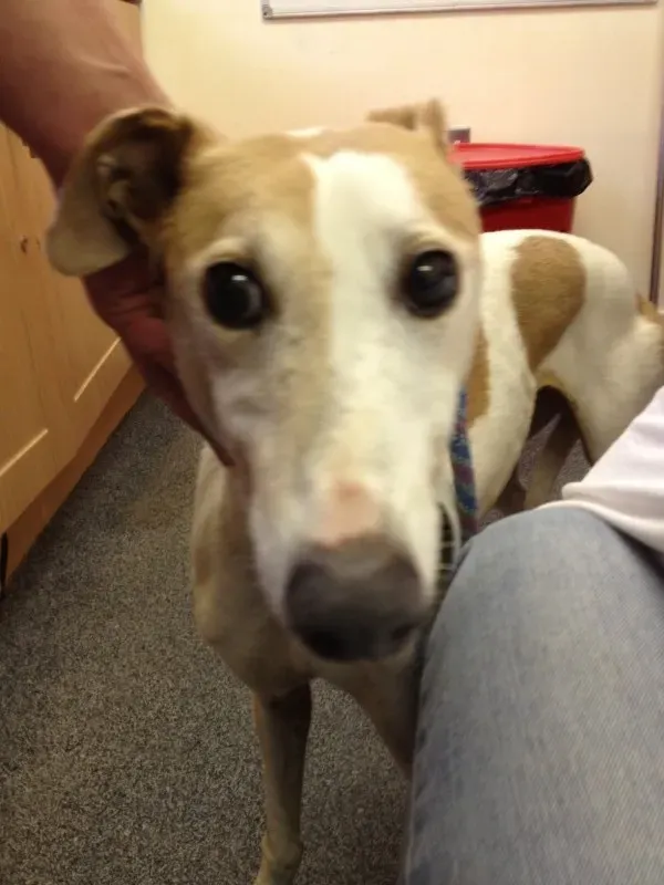 image3 e1411645581167