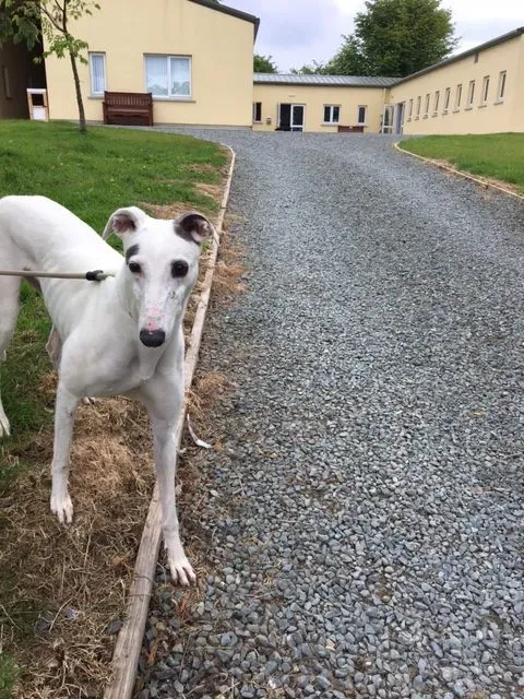 image3 e1496073965209