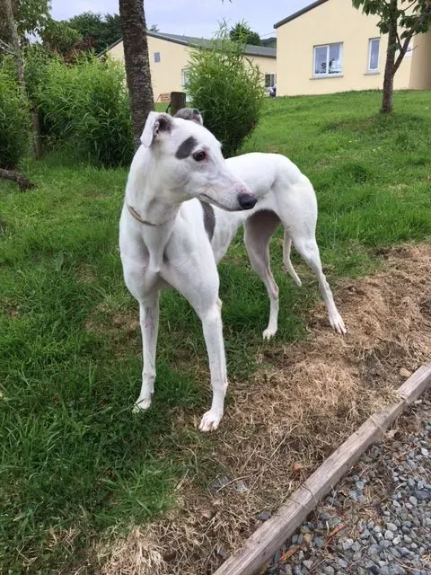 image4 e1496073943233