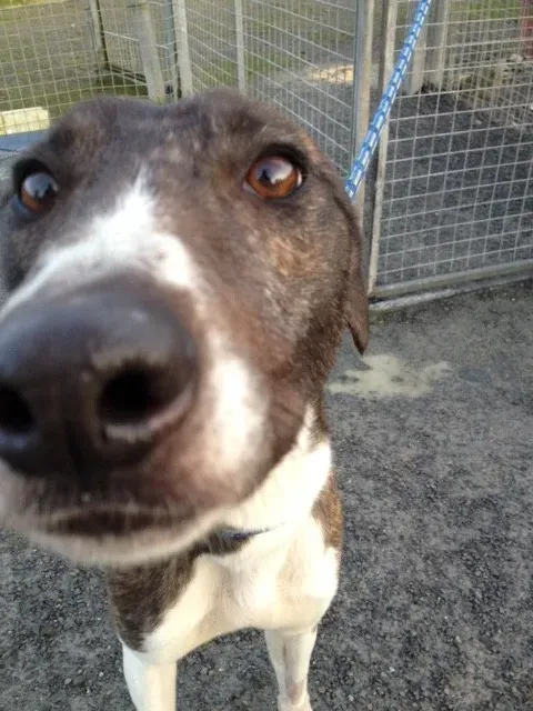 image5 e1454089765450