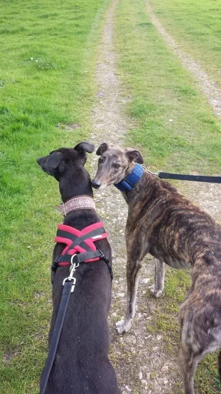 image8 e1399044373515