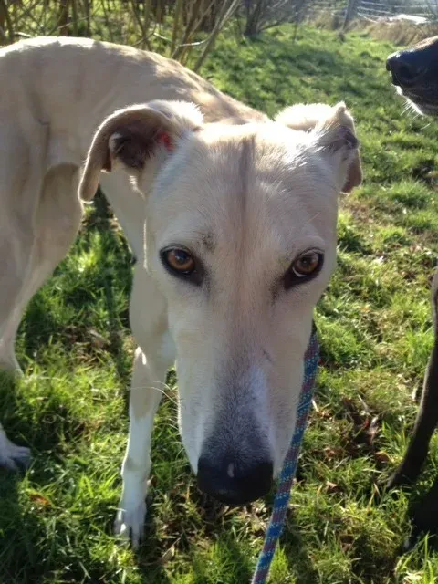 image 3 e1423204742895