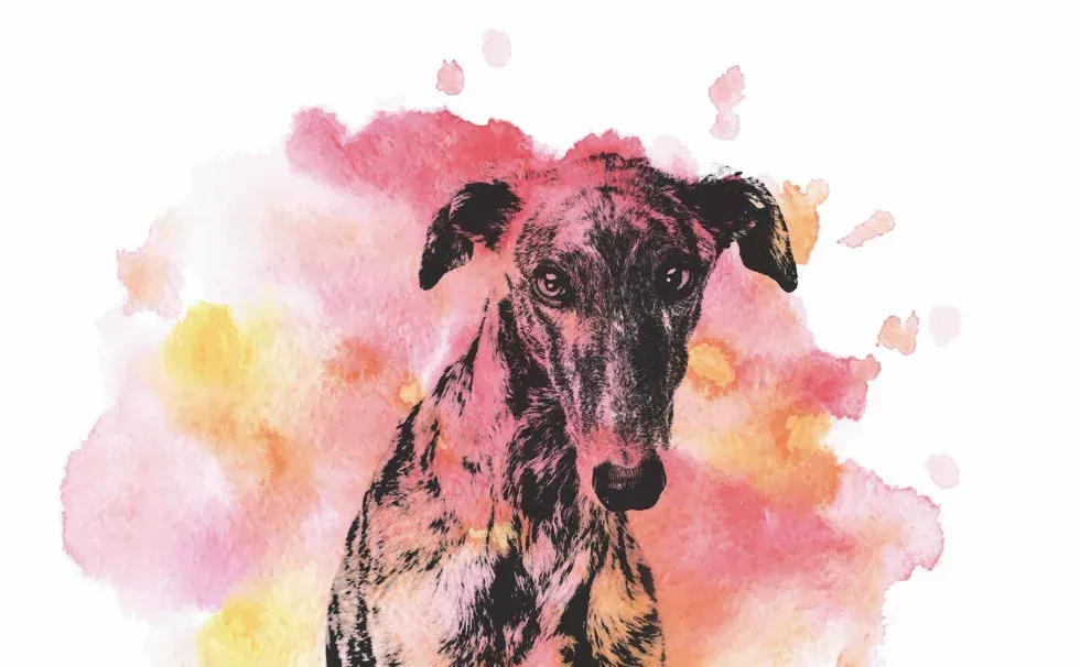 imagen poesia 1 980x606 1