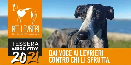 immagine TWITTER tessera associativa 2021