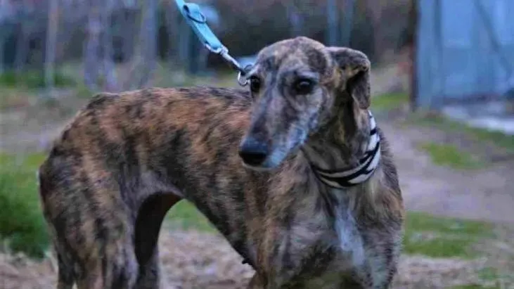 immagine in evidenza4