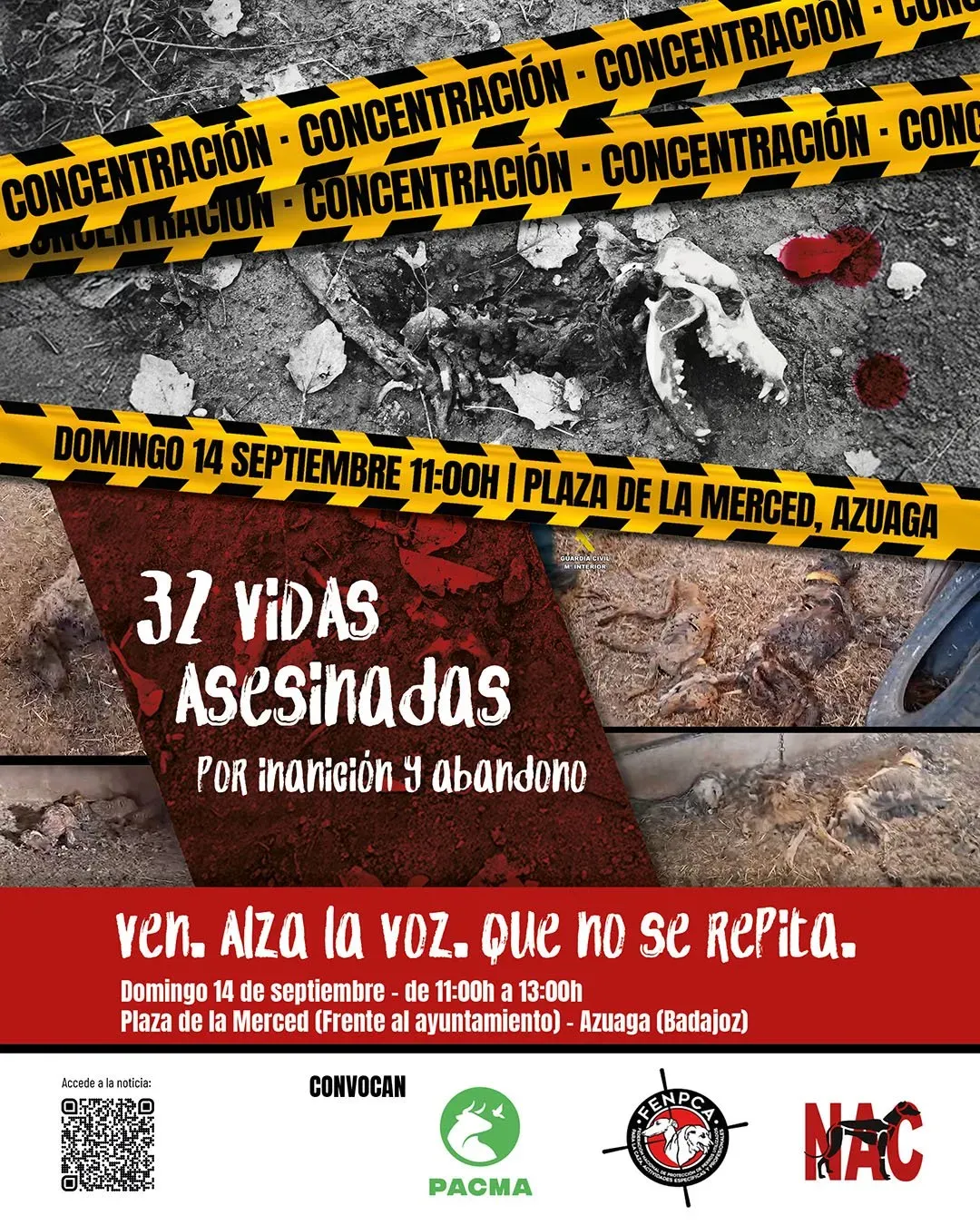 instagram facebook publicacion 01 1